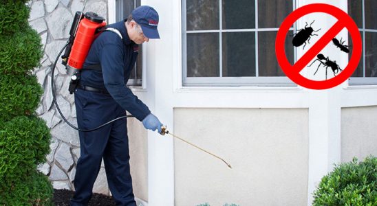 Yalova Kene İlaçlama böcek ilaçlama ve haşere kontrolü — ilaclama-tr.com